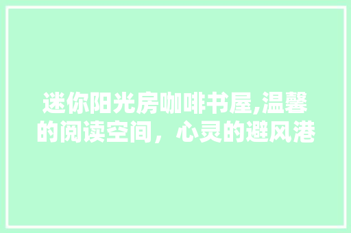 迷你阳光房咖啡书屋,温馨的阅读空间，心灵的避风港