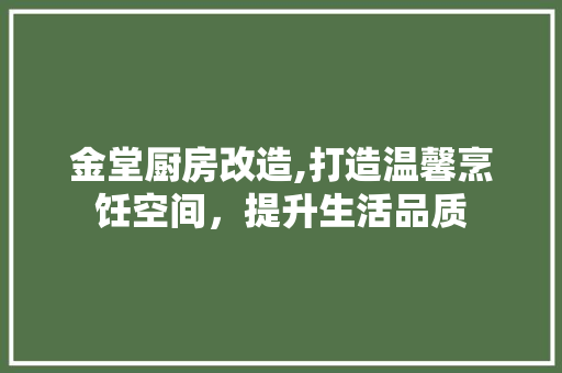 金堂厨房改造,打造温馨烹饪空间，提升生活品质