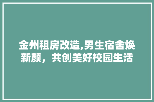金州租房改造,男生宿舍焕新颜，共创美好校园生活