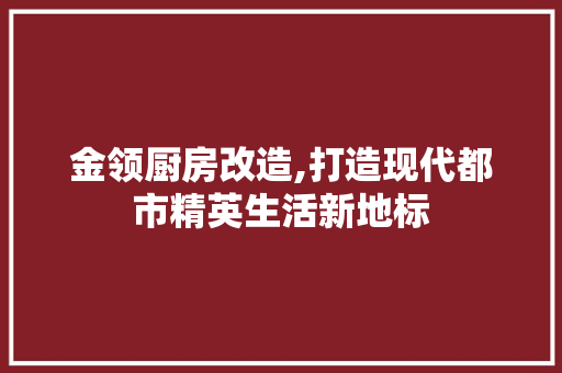 金领厨房改造,打造现代都市精英生活新地标