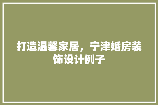 打造温馨家居，宁津婚房装饰设计例子