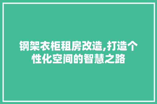 钢架衣柜租房改造,打造个性化空间的智慧之路