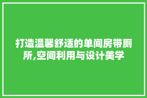 打造温馨舒适的单间房带厕所,空间利用与设计美学