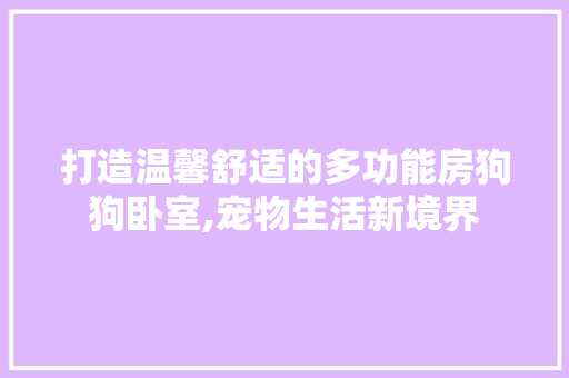 打造温馨舒适的多功能房狗狗卧室,宠物生活新境界