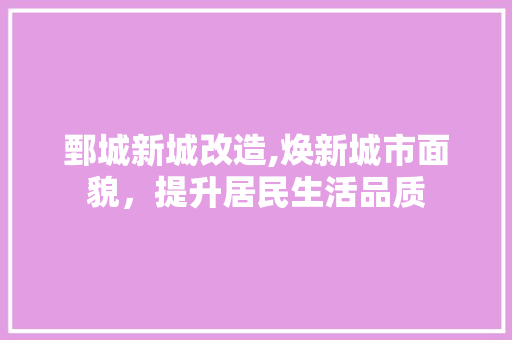 鄄城新城改造,焕新城市面貌，提升居民生活品质