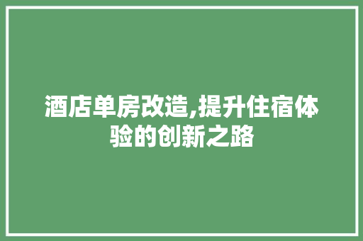 酒店单房改造,提升住宿体验的创新之路
