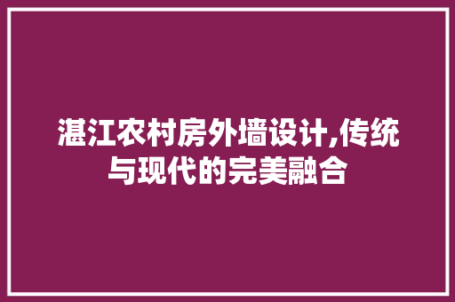湛江农村房外墙设计,传统与现代的完美融合