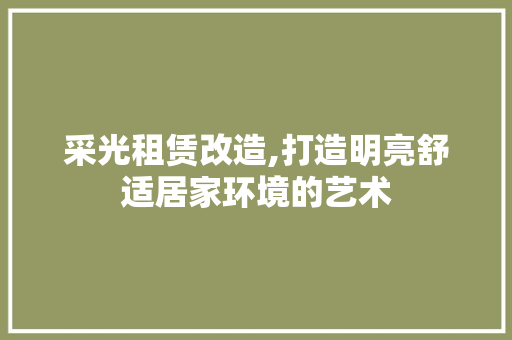 采光租赁改造,打造明亮舒适居家环境的艺术