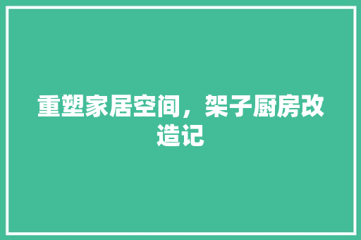 重塑家居空间，架子厨房改造记