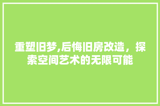 重塑旧梦,后悔旧房改造，探索空间艺术的无限可能