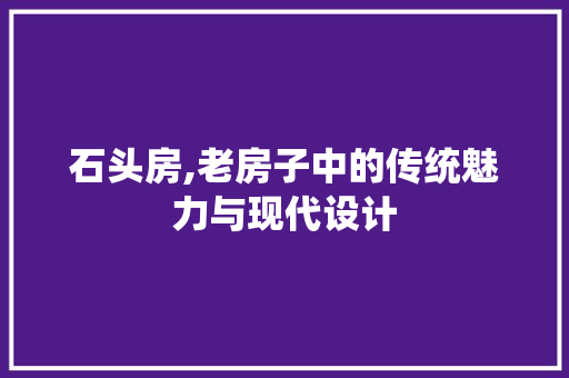 石头房,老房子中的传统魅力与现代设计