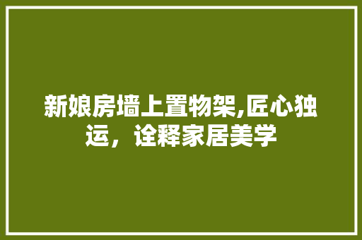 新娘房墙上置物架,匠心独运，诠释家居美学