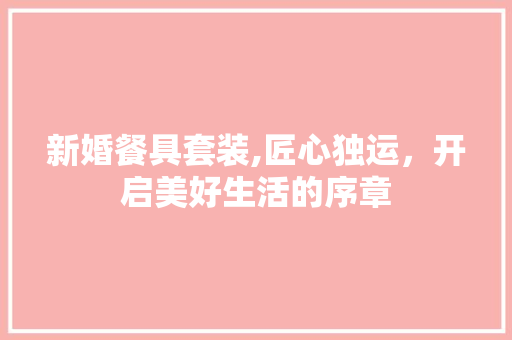 新婚餐具套装,匠心独运，开启美好生活的序章
