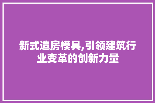新式造房模具,引领建筑行业变革的创新力量