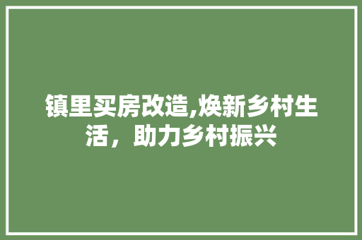 镇里买房改造,焕新乡村生活，助力乡村振兴