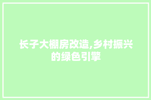 长子大棚房改造,乡村振兴的绿色引擎