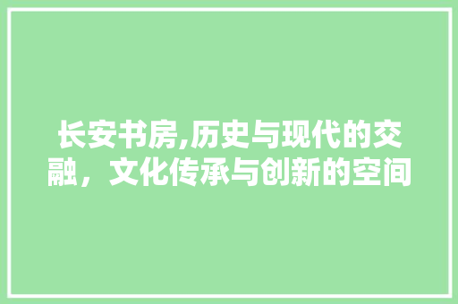 长安书房,历史与现代的交融，文化传承与创新的空间