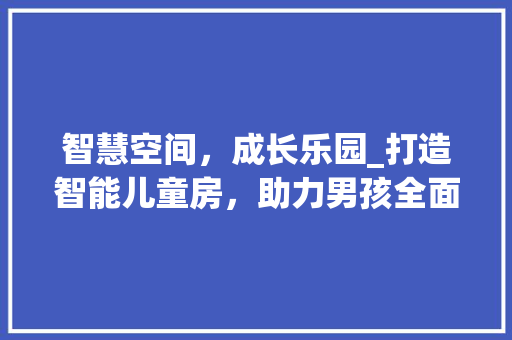 智慧空间，成长乐园_打造智能儿童房，助力男孩全面发展