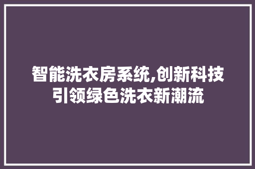 智能洗衣房系统,创新科技引领绿色洗衣新潮流