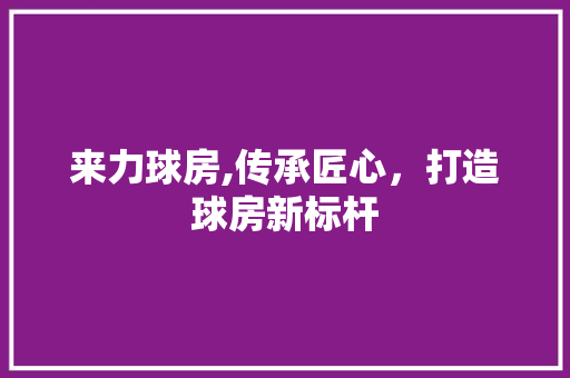 来力球房,传承匠心，打造球房新标杆
