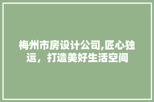 梅州市房设计公司,匠心独运，打造美好生活空间