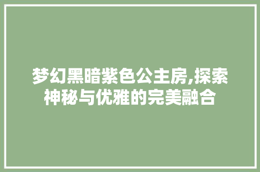 梦幻黑暗紫色公主房,探索神秘与优雅的完美融合