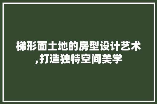 梯形面土地的房型设计艺术,打造独特空间美学
