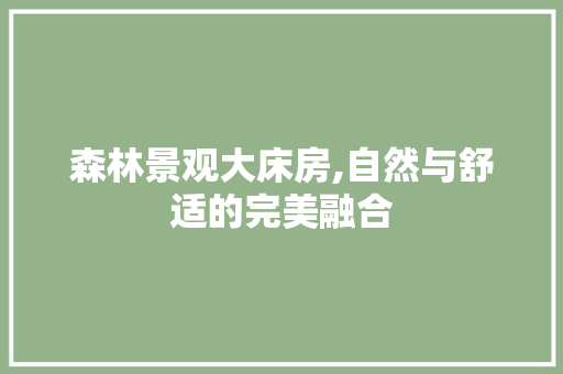 森林景观大床房,自然与舒适的完美融合