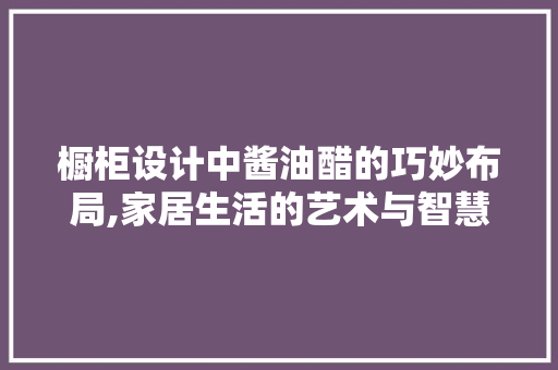 橱柜设计中酱油醋的巧妙布局,家居生活的艺术与智慧