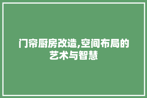 门帘厨房改造,空间布局的艺术与智慧