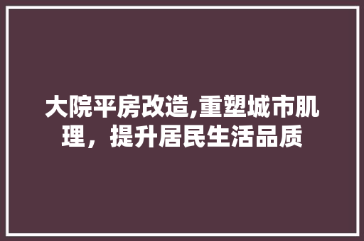 大院平房改造,重塑城市肌理，提升居民生活品质