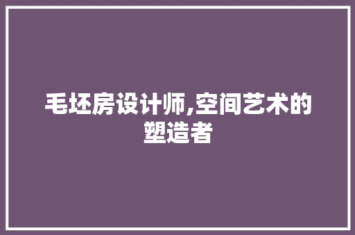 毛坯房设计师,空间艺术的塑造者