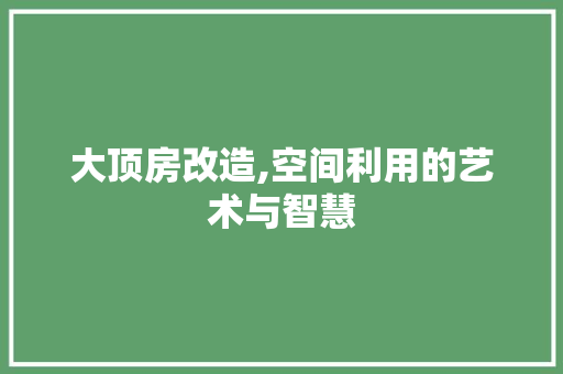 大顶房改造,空间利用的艺术与智慧