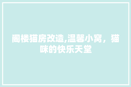阁楼猫房改造,温馨小窝，猫咪的快乐天堂