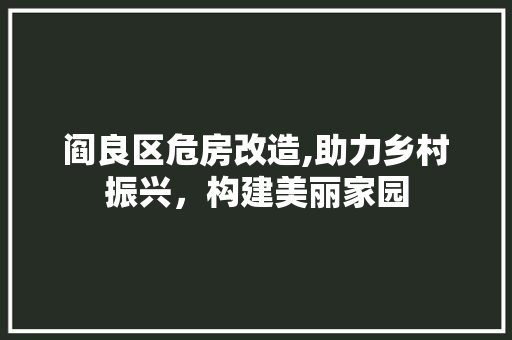 阎良区危房改造,助力乡村振兴，构建美丽家园