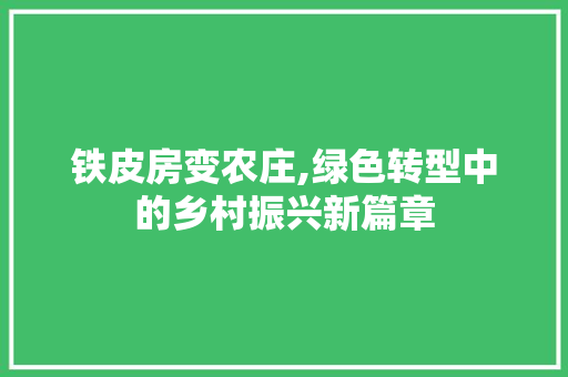 铁皮房变农庄,绿色转型中的乡村振兴新篇章
