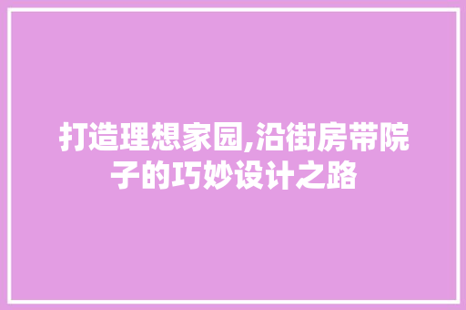 打造理想家园,沿街房带院子的巧妙设计之路