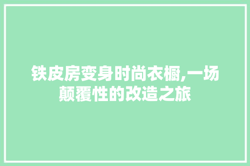 铁皮房变身时尚衣橱,一场颠覆性的改造之旅