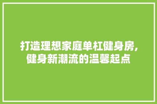 打造理想家庭单杠健身房,健身新潮流的温馨起点