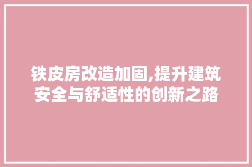 铁皮房改造加固,提升建筑安全与舒适性的创新之路