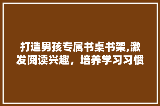 打造男孩专属书桌书架,激发阅读兴趣，培养学习习惯