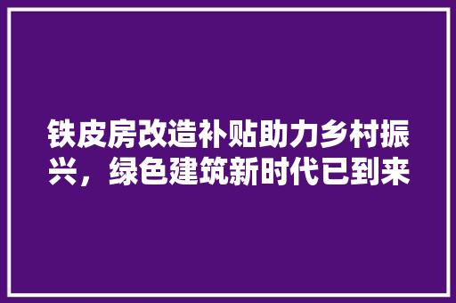 铁皮房改造补贴助力乡村振兴，绿色建筑新时代已到来