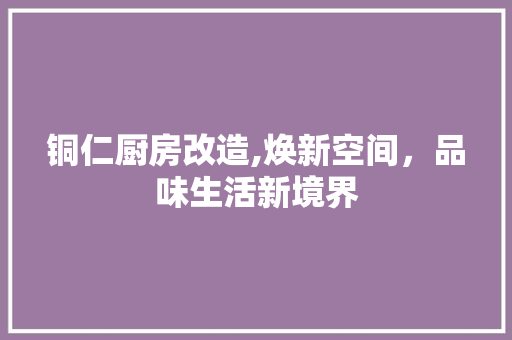 铜仁厨房改造,焕新空间，品味生活新境界
