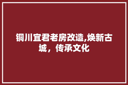 铜川宜君老房改造,焕新古城，传承文化