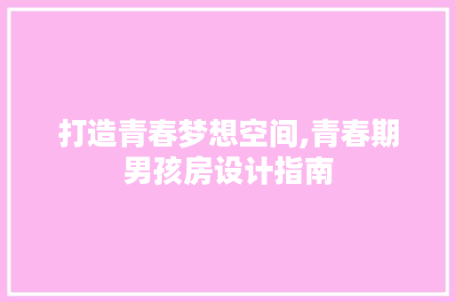 打造青春梦想空间,青春期男孩房设计指南