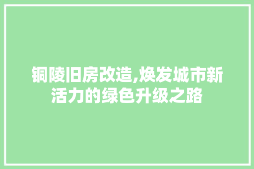 铜陵旧房改造,焕发城市新活力的绿色升级之路