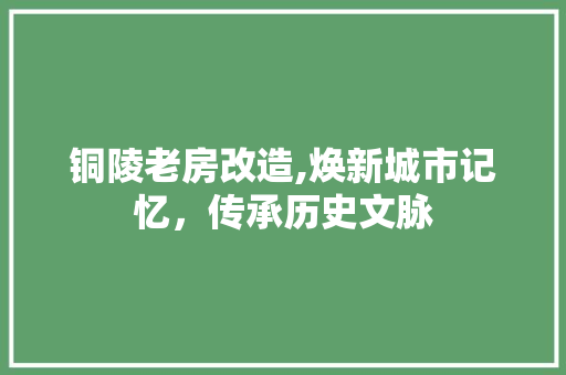 铜陵老房改造,焕新城市记忆，传承历史文脉