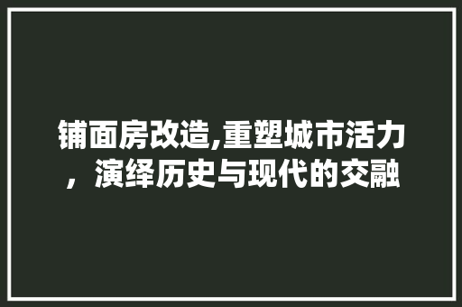 铺面房改造,重塑城市活力，演绎历史与现代的交融