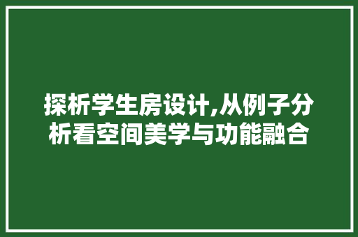 探析学生房设计,从例子分析看空间美学与功能融合