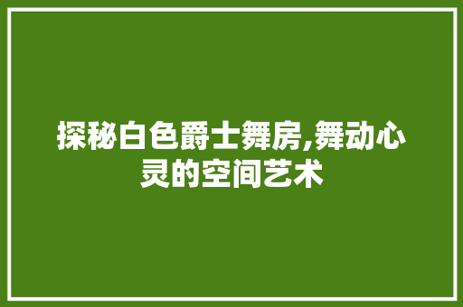 探秘白色爵士舞房,舞动心灵的空间艺术